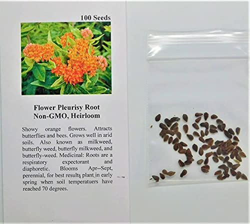 David's Garden Seeds Flower Asclepias Pleurisy Root 2233 (Orange) 100 Non-GMO, Heirloom Seeds