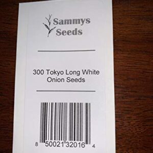 300 Tokyo Long White Bunching Onion Seeds | Non-GMO | Fresh Garden Seeds