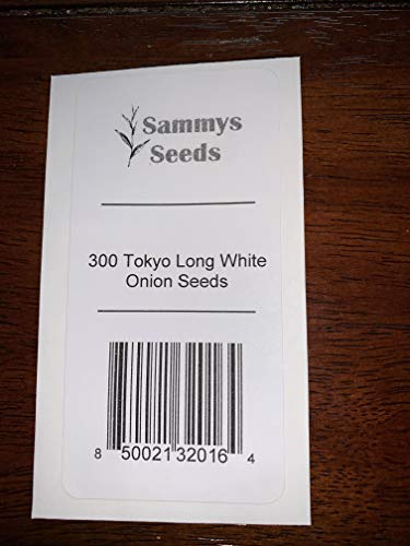 300 Tokyo Long White Bunching Onion Seeds | Non-GMO | Fresh Garden Seeds