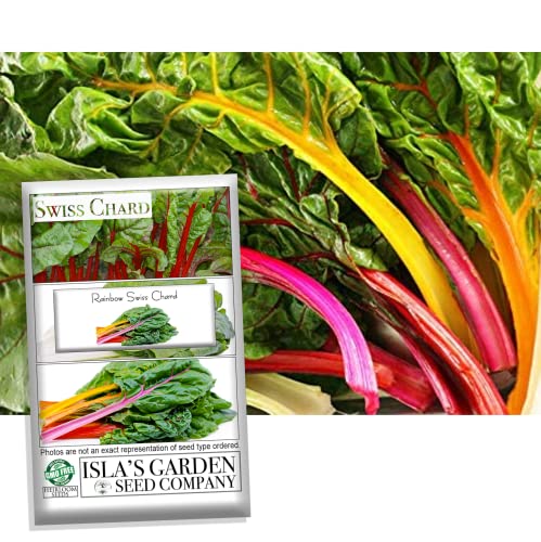 Rainbow Swiss Chard Seeds, 300+ Heirloom Seeds Per Packet, (Isla's Garden Seeds), Non GMO Seeds, Botanical Name: Beta vulgaris subsp. cicla