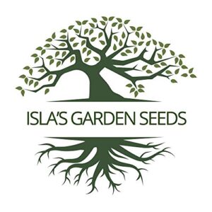 Rainbow Swiss Chard Seeds, 300+ Heirloom Seeds Per Packet, (Isla's Garden Seeds), Non GMO Seeds, Botanical Name: Beta vulgaris subsp. cicla