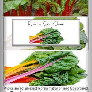 Rainbow Swiss Chard Seeds, 300+ Heirloom Seeds Per Packet, (Isla's Garden Seeds), Non GMO Seeds, Botanical Name: Beta vulgaris subsp. cicla