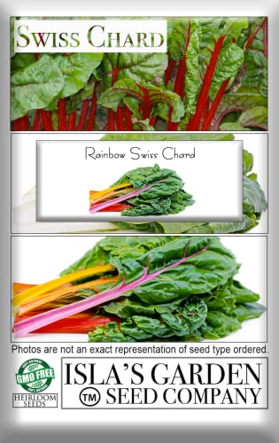 Rainbow Swiss Chard Seeds, 300+ Heirloom Seeds Per Packet, (Isla's Garden Seeds), Non GMO Seeds, Botanical Name: Beta vulgaris subsp. cicla