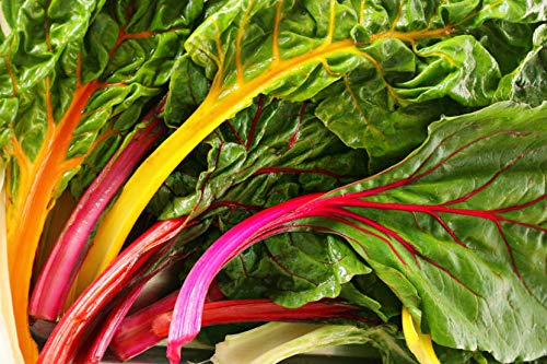 Rainbow Swiss Chard Seeds, 300+ Heirloom Seeds Per Packet, (Isla's Garden Seeds), Non GMO Seeds, Botanical Name: Beta vulgaris subsp. cicla