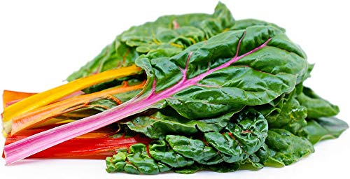 Rainbow Swiss Chard Seeds, 300+ Heirloom Seeds Per Packet, (Isla's Garden Seeds), Non GMO Seeds, Botanical Name: Beta vulgaris subsp. cicla