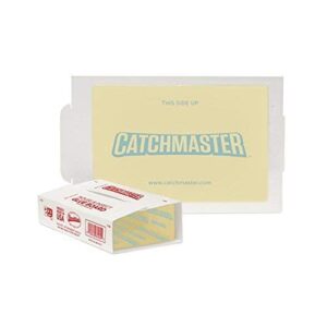 60M Packed Glue Boards by Catchmaster - 60 Traps Pre-Baited, Ready to Use Indoors Mouse Rodent Insect Reptile Snake Sticky Adhesive Long-Lasting Foldable Tunnel Disposable Non-Toxic - Made in The USA