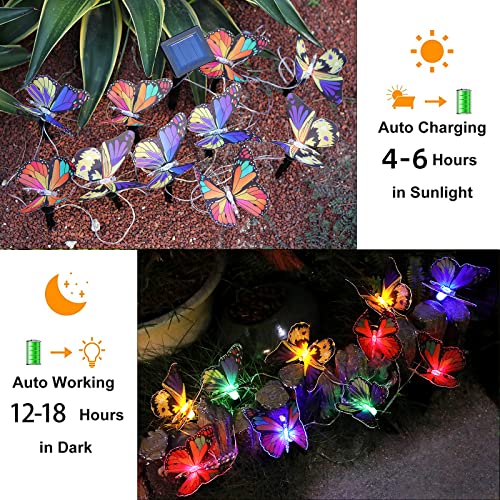 VGYVGYCC Outdoor Solar Garden Lights - Solar String Lights 10Pcs Large Optical Fiber Butterfly Lights with 2 Lighting Modes Twinkling and Steady-ON for Garden, Patio, Yard, Flowerbed, Lawn Decoration