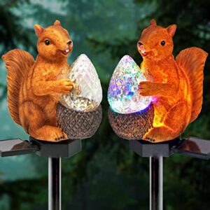 HENGYOU Garden Solar Lights Squirrel Outdoor Decor, Resin Squirrel Figure Solar LED Lights Waterproof Squirrel Garden Stake Lights for Outdoor Yard Pathway Outside Patio Lawn Decor-1Pack