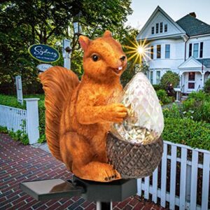 HENGYOU Garden Solar Lights Squirrel Outdoor Decor, Resin Squirrel Figure Solar LED Lights Waterproof Squirrel Garden Stake Lights for Outdoor Yard Pathway Outside Patio Lawn Decor-1Pack