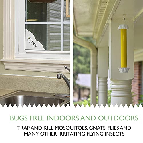 Trappify Sticky Fly and Moths Traps for Home Pest Control - Fly, Gnats, Moths and Other Flying Insects Killer with Extra Sticky Adhesive Disposable Fly and Moths Catcher - 28 Traps