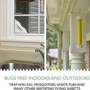 Trappify Sticky Gnat and Fly Traps for Home Pest Control - Fly, Gnats, Moths and Other Flying Insects Killer with Extra Sticky Adhesive Disposable Fly and Moths Catcher - 22 Traps