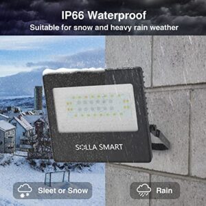 Smart RGB Flood Lights 30W, APP Control 16 Million and Tunable White 2700K-6500K, Outdoor Uplights Floodlights Color Changing Landscape Light, IP66 Waterproof for Patio Garden Yard, Plug & Play 2 Pcs