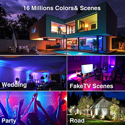 Smart RGB Flood Lights 30W, APP Control 16 Million and Tunable White 2700K-6500K, Outdoor Uplights Floodlights Color Changing Landscape Light, IP66 Waterproof for Patio Garden Yard, Plug & Play 2 Pcs