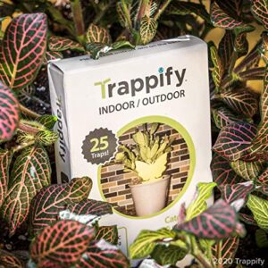 Trappify Sticky Gnat and Fly Traps, Fly Stick Strap & Window Fly Trap for Outdoor and Indoor Home Pest Control - Fly, Gnats, Moths and Other Flying Insects Trap with Extra Sticky Adhesive - 18 Traps