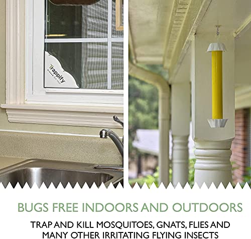 Trappify Sticky Gnat and Fly Traps, Fly Stick Strap & Window Fly Trap for Outdoor and Indoor Home Pest Control - Fly, Gnats, Moths and Other Flying Insects Trap with Extra Sticky Adhesive - 18 Traps