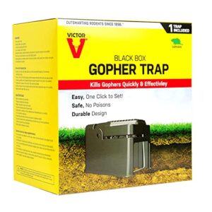 Victor 0626 Black Box Gopher Trap - Gopher Traps - Gopher Trap