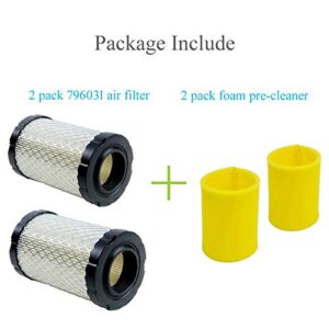 HOODELL 2 Pack 796031 Air Filter + Pre Cleaner Compatible with Briggs Stratton 591334 594201 797704, Husqvarna YTH22V46, John Deere D100, Pro Performance for Lawn Tractor and More