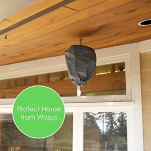 Waspinator - No More Wasps (Pack of 2)