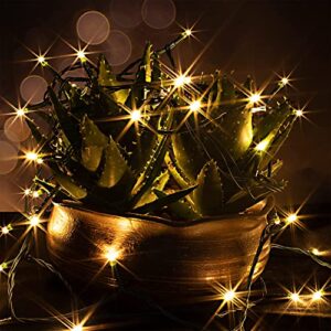 141.4 FT 400 Count Christmas Warm White LED String Lights, LED String Lights Green Wire with F5 Bulbs for Indoor and Outdoor Home, Lawn, and Tree Garden
