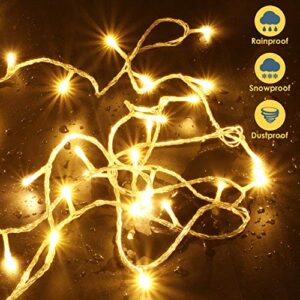 EXF 2-Pack Connectable Christmas Lights, Total 240LED Waterproof Clear Wire String Lights Indoor/Outdoor, 8 Modes Twinkle Lights for Room, Garden, Xmas Tree Decorations (Warm White)