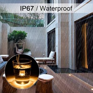 RNEHON LED Deck Lights Kit, Waterproof IP67 Deck Lamp Low Voltage 10 pcs Warm White LED In-ground Lighting Outdoor Garden Yard Pathway Patio Step Stairs Landscape Decor Lamps