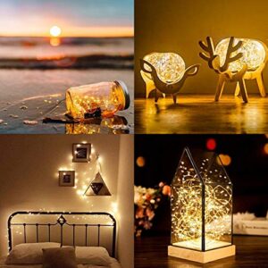 Koxly 6 Pack 20ft 60 Led Fairy Lights with Remote Timer Waterproof Christmas Decor Battery Operated Twinkle Firefly Lights for Bedroom, Garden, Easter, Party, Christmas Indoor and Outdoor Decorations