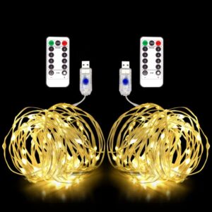 fairy lights usb plug in, 2 pack×33ft led string lights with remote, 8 modes fairy string lights, christmas lights indoor outdoor, twinkle lights for bedroom, party,garden,tree (warm white)