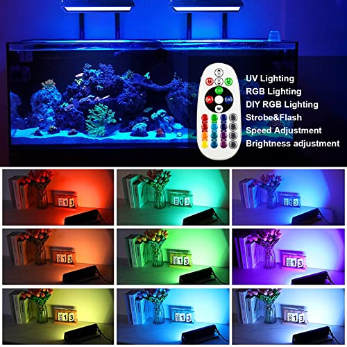 Indmird 50W UV+RGB Lights, Color Changing Lights, Black Light for Glow Party, RGB Flood Light, with Switch and Remote, for Garden Lighting, Stage Lighting, Holiday Parties, Aquariums, Halloween