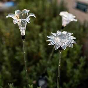 Outdoor Solar Garden Lights - Flower Stake Light with White LED Stake for Lawn Yard Landscape Patio Pathway Walkway - Color Changing Night Operated Waterproof Decoration Luces solares Lily Rose Daisy