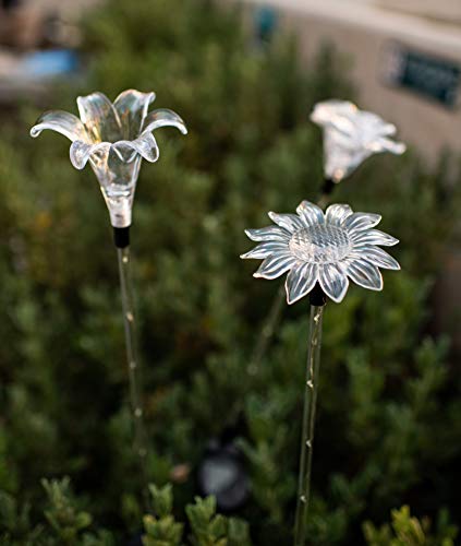 Outdoor Solar Garden Lights - Flower Stake Light with White LED Stake for Lawn Yard Landscape Patio Pathway Walkway - Color Changing Night Operated Waterproof Decoration Luces solares Lily Rose Daisy