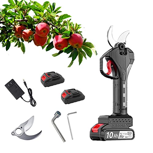 Electric Pruner Professional Pruning Shears 2 Blade 150w 21V 10Ah Built-in Lithium Battery Max Cutting Diameter 2/2.4inch 6-8 Working Hours for All Kinds of Gardens (Color : Battery x2, Size : 6cm)