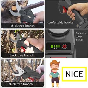 Electric Pruner Professional Pruning Shears 2 Blade 150w 21V 10Ah Built-in Lithium Battery Max Cutting Diameter 2/2.4inch 6-8 Working Hours for All Kinds of Gardens (Color : Battery x2, Size : 6cm)