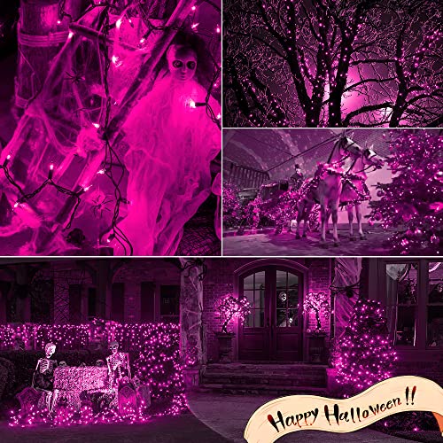 MYGOTO Purple Christmas Lights Outdoor, 2Pack 13Feet 50Count Halloween String Lights Connectable 120V Plug in for Outdoor Indoor Garden Party Christmas Xmas Tree Lights Decor (Purple)