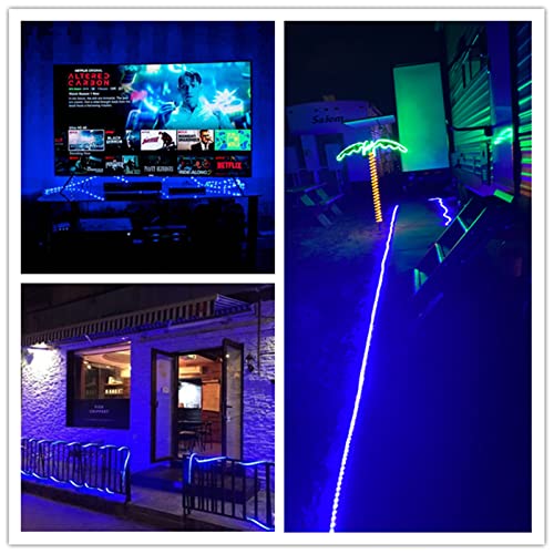Tuanchuanrp 100Ft Blue Rope Lights Outdoor, 110V Cuttable Outdoor String Lights Waterproof for Indoor/Outdoor, Ideal for Eaves,Backyards Garden,Halloween, Christmas Decoration, Landscape Lighting