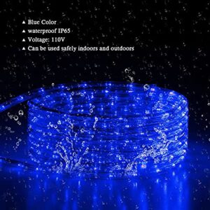 Tuanchuanrp 100Ft Blue Rope Lights Outdoor, 110V Cuttable Outdoor String Lights Waterproof for Indoor/Outdoor, Ideal for Eaves,Backyards Garden,Halloween, Christmas Decoration, Landscape Lighting