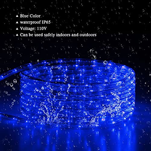 Tuanchuanrp 100Ft Blue Rope Lights Outdoor, 110V Cuttable Outdoor String Lights Waterproof for Indoor/Outdoor, Ideal for Eaves,Backyards Garden,Halloween, Christmas Decoration, Landscape Lighting