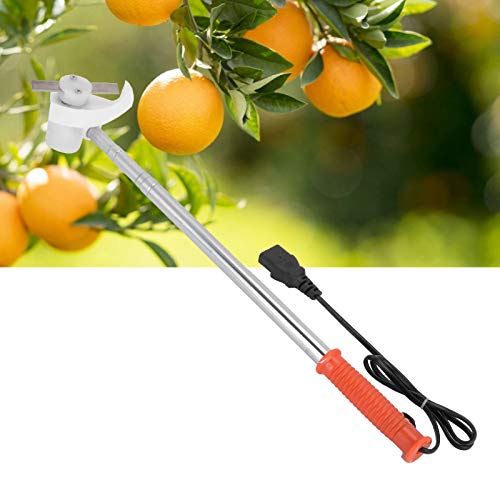 Raguso Extendable Trimmer Cutter with Adjustable Head Grass Trimmer and Edger Telescopic Grass Cutter Prunning Device Garden Tool 250V 10A