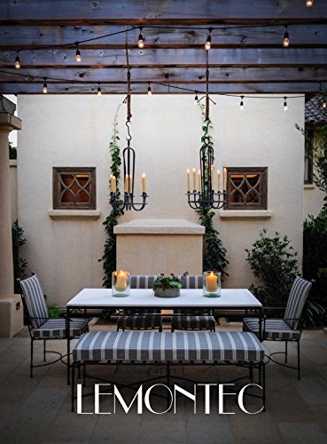 Lemontec Commercial Grade Outdoor String Lights with 15 Hanging Sockets - 48 Ft Black Weatherproof Cord Weatherproof Strand for Patio Garden Porch Backyard Party Deck Yard – S14 Black