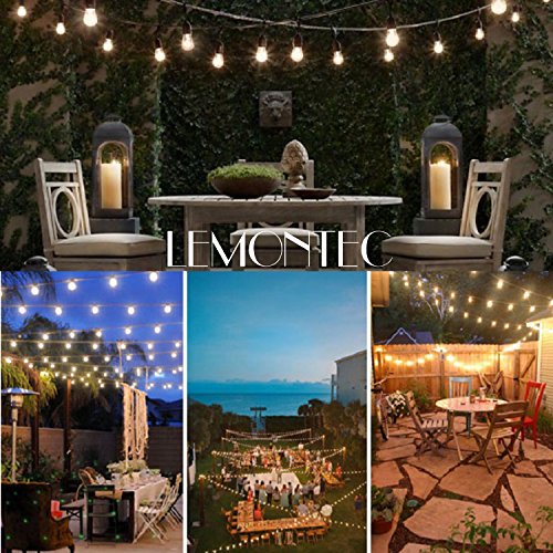 Lemontec Commercial Grade Outdoor String Lights with 15 Hanging Sockets - 48 Ft Black Weatherproof Cord Weatherproof Strand for Patio Garden Porch Backyard Party Deck Yard – S14 Black