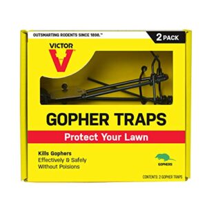 victor m9013 poison free outdoor gopher trap