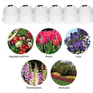 KiaoTime Pack of 10 Reuseable 10" Plastic Greenhouse Garden Bell Cover Germination Cover Frost Guard Freeze Protection Dome with Bonus 30 Metal Stakes+10 Tags