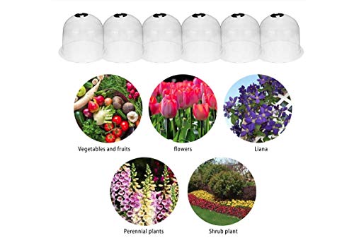 KiaoTime Pack of 10 Reuseable 10" Plastic Greenhouse Garden Bell Cover Germination Cover Frost Guard Freeze Protection Dome with Bonus 30 Metal Stakes+10 Tags