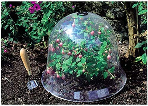 KiaoTime Pack of 10 Reuseable 10" Plastic Greenhouse Garden Bell Cover Germination Cover Frost Guard Freeze Protection Dome with Bonus 30 Metal Stakes+10 Tags