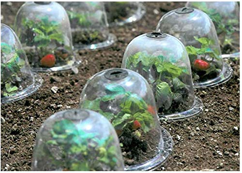 KiaoTime Pack of 10 Reuseable 10" Plastic Greenhouse Garden Bell Cover Germination Cover Frost Guard Freeze Protection Dome with Bonus 30 Metal Stakes+10 Tags