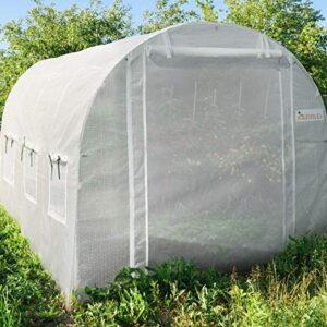 KING BIRD Upgraded 10x6.6x6.6FT Large Walk-in Greenhouse Heavy Duty Galvanized Steel Frame 2 Zippered Screen Doors 6 Screen Windows Tunnel Garden Plant Hot Green House 18 Stakes 4 Ropes 2 Gloves White