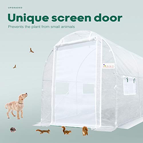 KING BIRD Upgraded 10x6.6x6.6FT Large Walk-in Greenhouse Heavy Duty Galvanized Steel Frame 2 Zippered Screen Doors 6 Screen Windows Tunnel Garden Plant Hot Green House 18 Stakes 4 Ropes 2 Gloves White