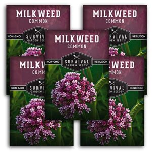 survival garden seeds common milkweed seeds for planting – 5 packs with instructions grow asclepias syriaca wildflowers – attract monarch butterflies & help conservation non-gmo heirloom variety