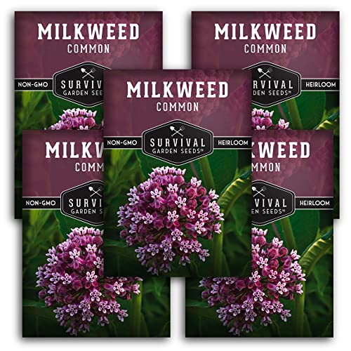 SURVIVAL GARDEN SEEDS Common Milkweed Seeds for Planting - 5 Packs with Instructions Grow Asclepias Syriaca Wildflowers - Attract Monarch Butterflies & Help Conservation Non-GMO Heirloom Variety