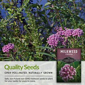 SURVIVAL GARDEN SEEDS Common Milkweed Seeds for Planting - 5 Packs with Instructions Grow Asclepias Syriaca Wildflowers - Attract Monarch Butterflies & Help Conservation Non-GMO Heirloom Variety