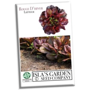 rouge d’hiver romaine lettuce seeds for planting, 1000+ heirloom seeds per packet, (isla’s garden seeds), non gmo seeds, botanical name: lactuca sativa, great home garden gift
